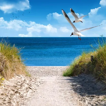 Vital C Mit Sauna, Whirlpool & Kamin, Grosser Aussenterrasse בית נופש Großenbrode